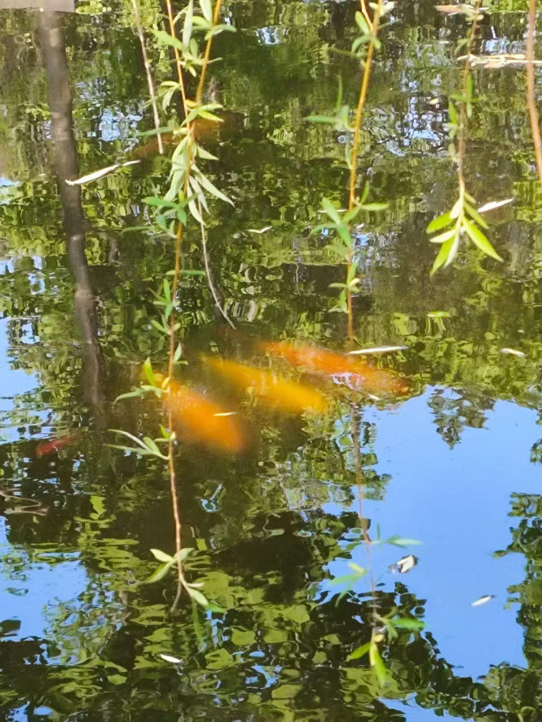 ΢ͼƬ_2025-08-18_101541_779.jpg