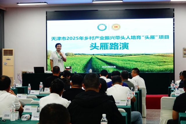 ±ղμ2025ҵˡͷ㡱Ŀ࣬巢չͼ