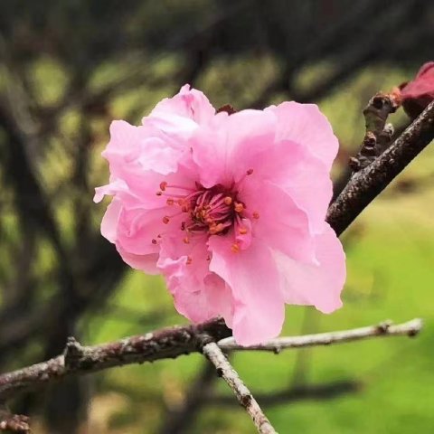 ҹ�ã�����/�������ޣ�