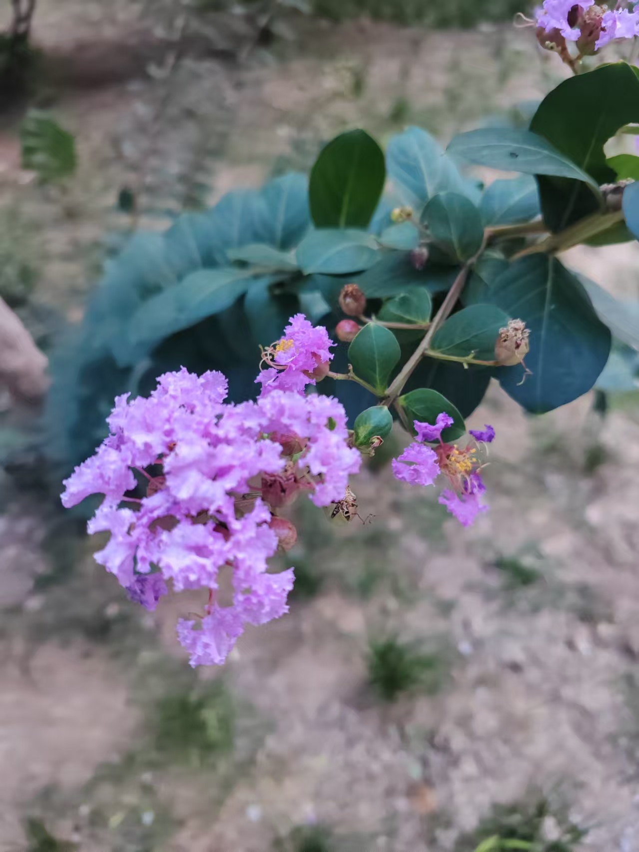 1761533979376221.jpg 微信图片_20251027105610_2447_478.jpg