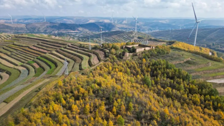 1762136265745775.png ͼƬ_2025-11-03_101700_553.png