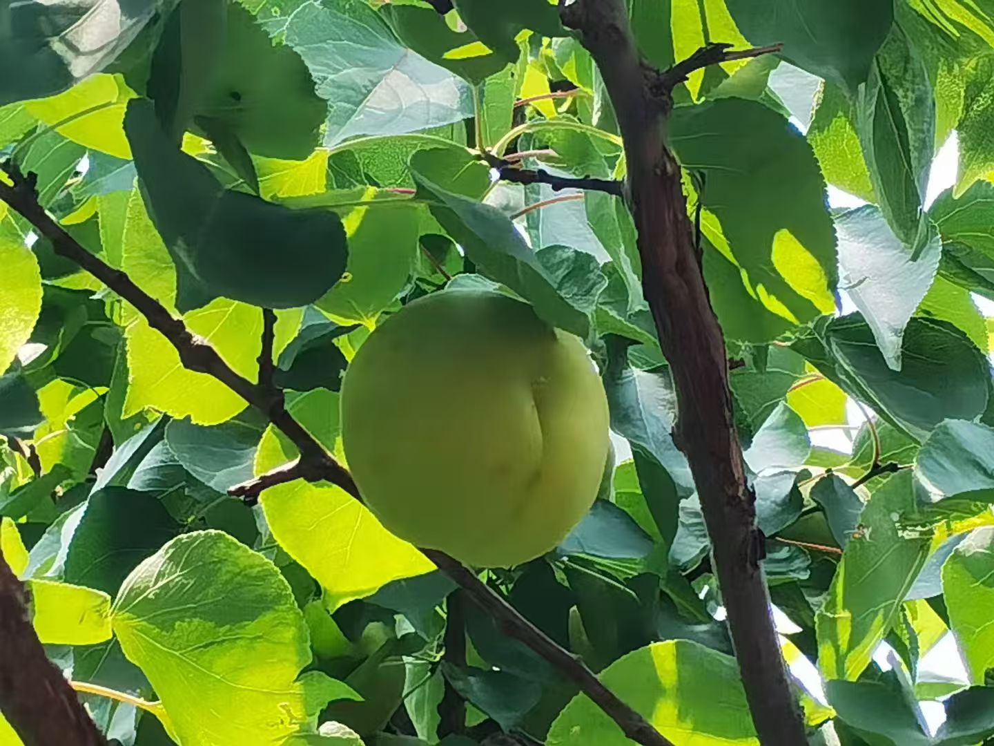 1762743753720581.jpg 微信图片_20251110105902_2815_478.jpg