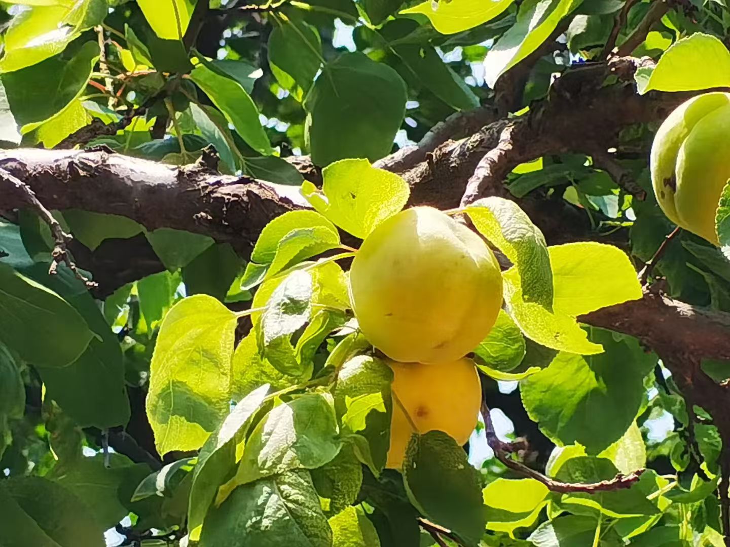 1762743819575874.jpg 微信图片_20251110105903_2816_478.jpg