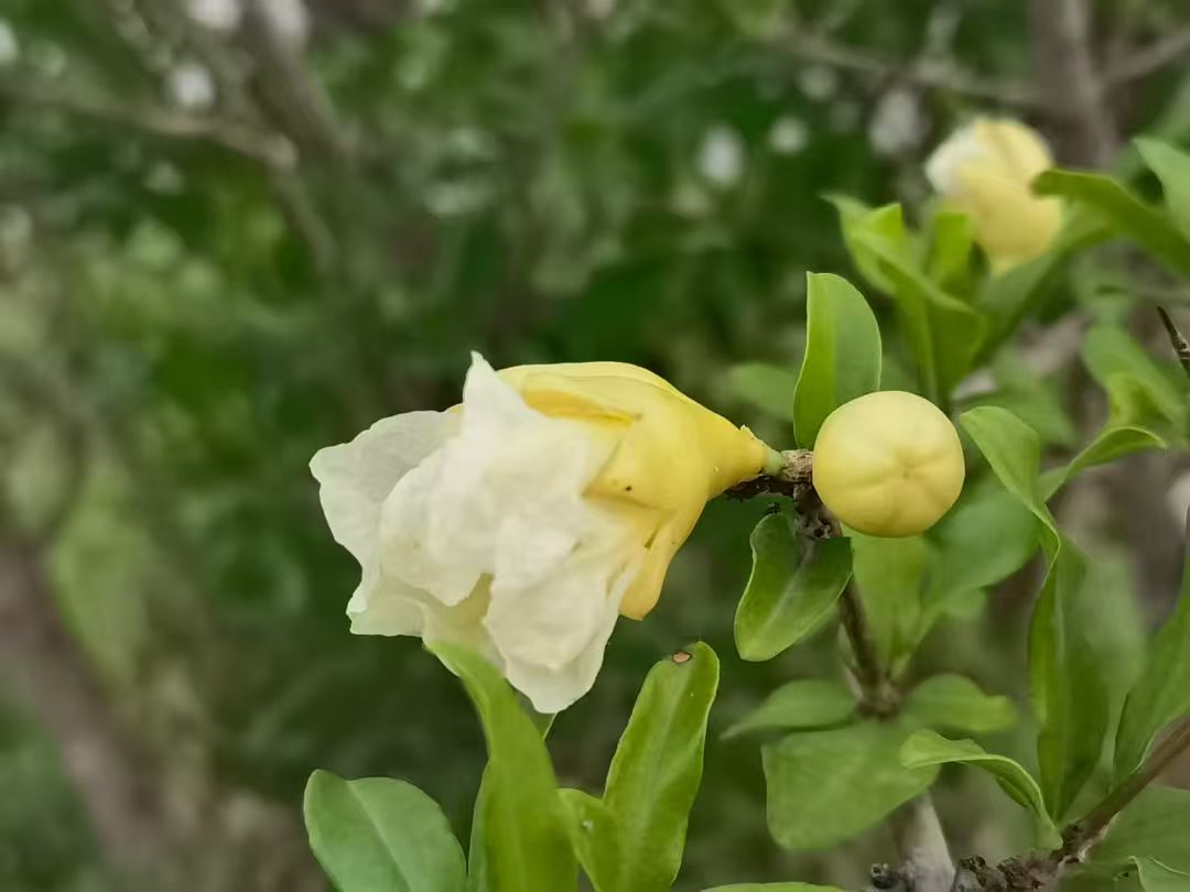 1763103074762418.jpg 微信图片_20251114144630_2944_478.jpg