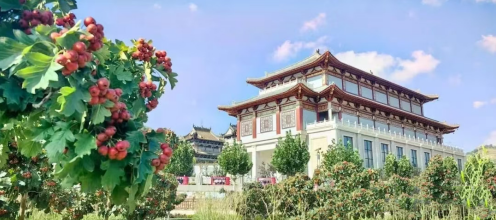 1765160990654835.png 微信图片_2025-12-08_102848_764.png