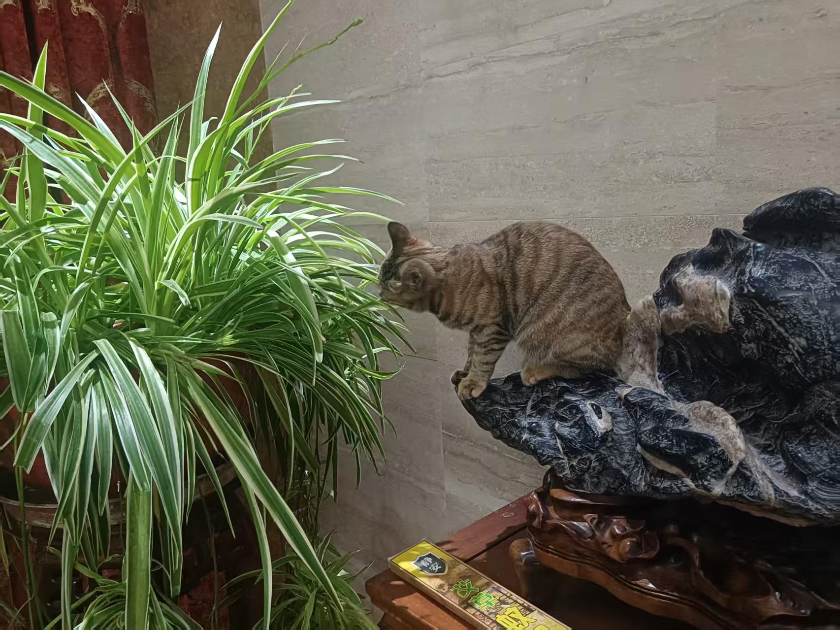 1765625831971932.jpg 微信图片_20250802102512.jpg