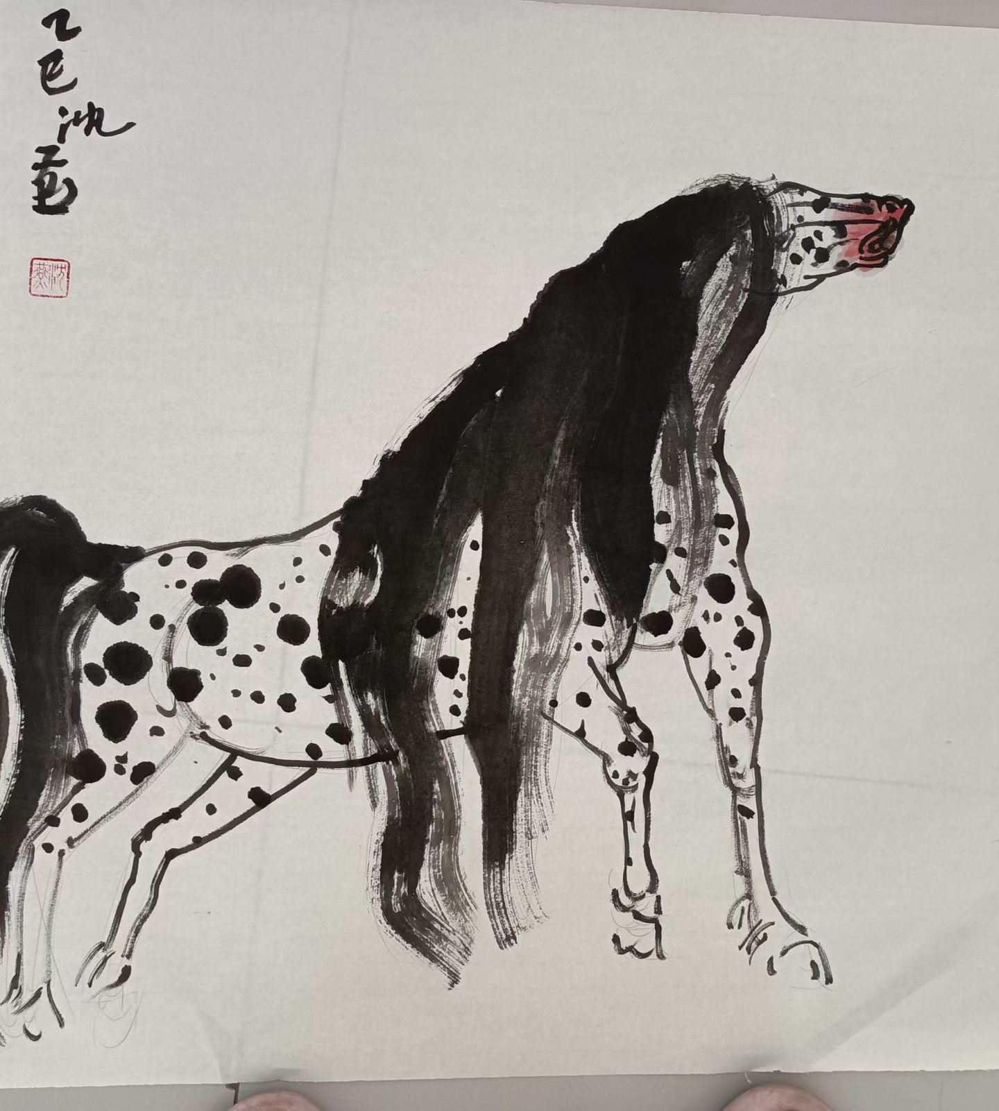 1767941201956390.jpg 微信图片_20260109143043_4346_478.jpg