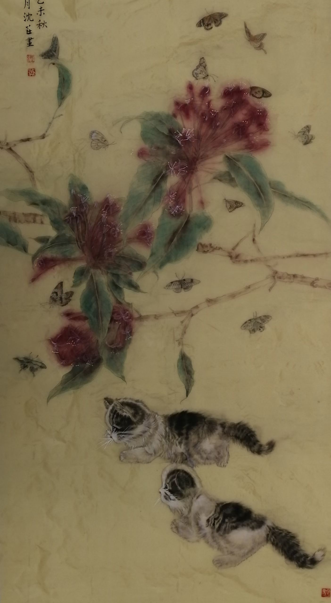 1769565434694835.jpg 微信图片_20260128091817_4862_478.jpg