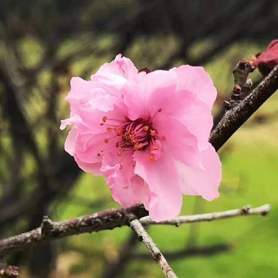 1771816852255058.jpg 微信图片_20250601094712.jpg