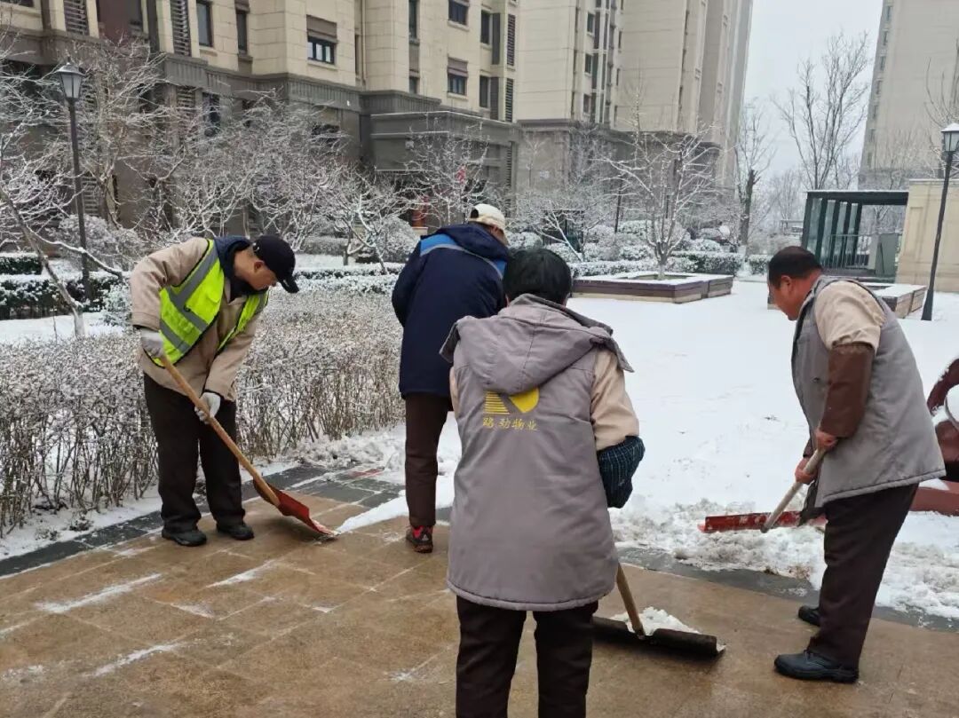 1772518124351248.jpg 微信图片_2026-03-03_140751_595.jpg