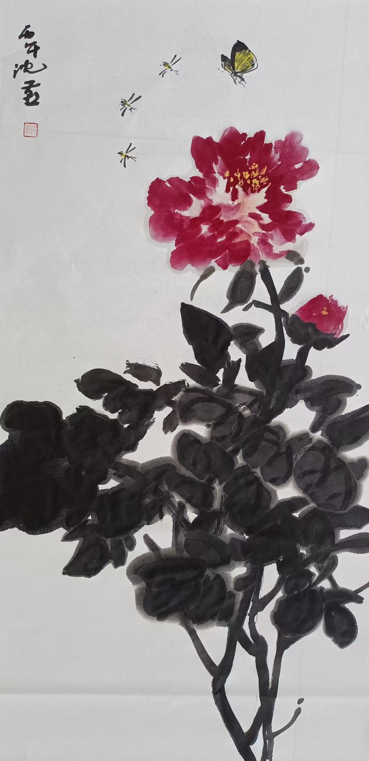 1778479695676493.jpg 微信图片_20260511133751_6649_478.jpg