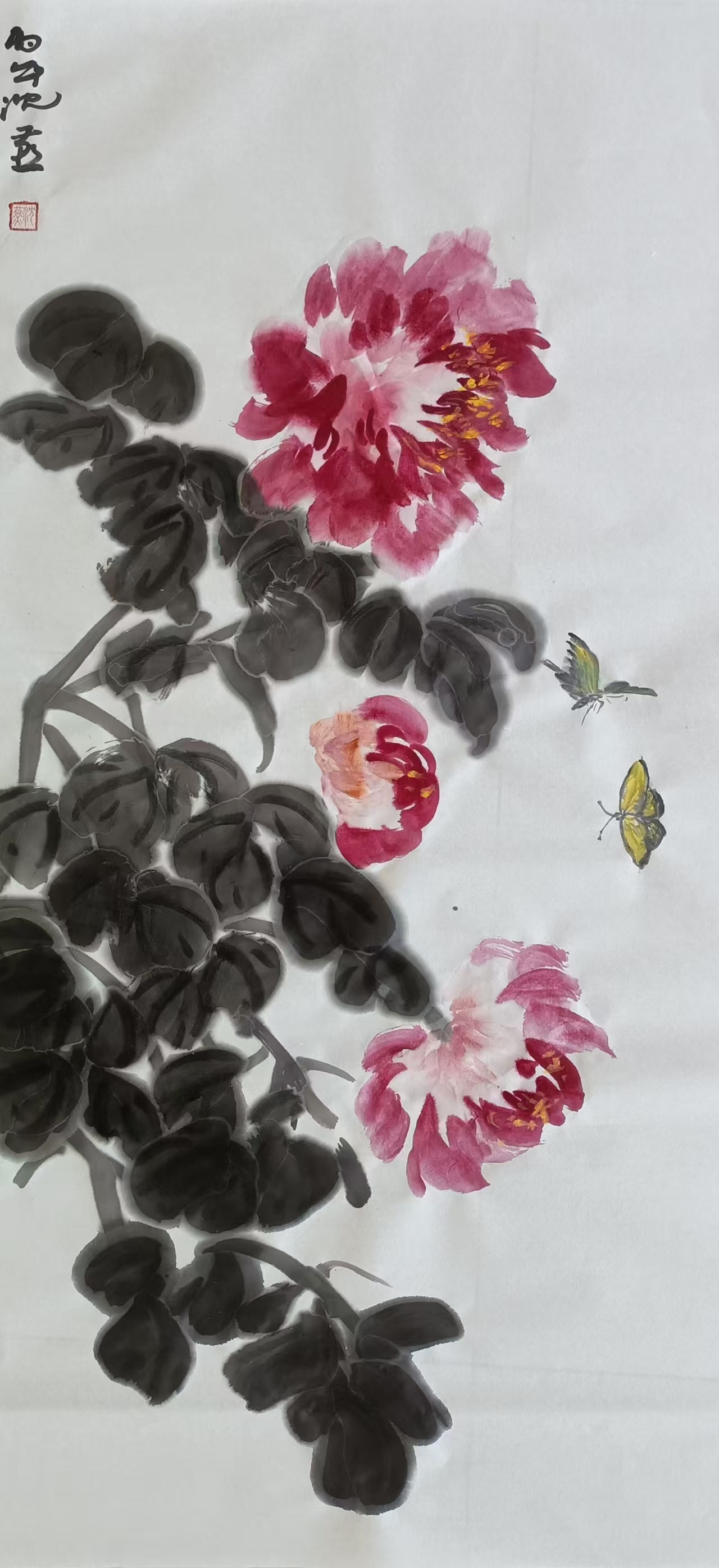 1778479703161123.jpg 微信图片_20260511133752_6650_478.jpg