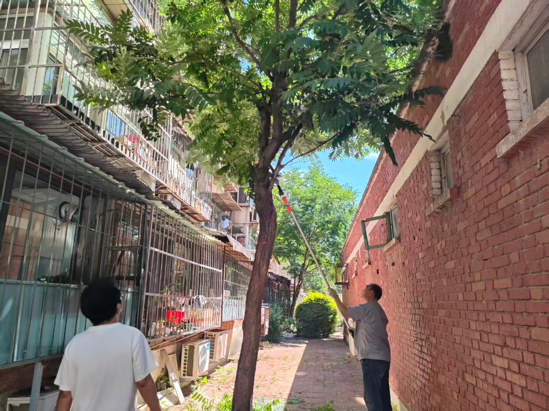 1781591598153771.png 微信图片_2026-06-16_143251_502.png