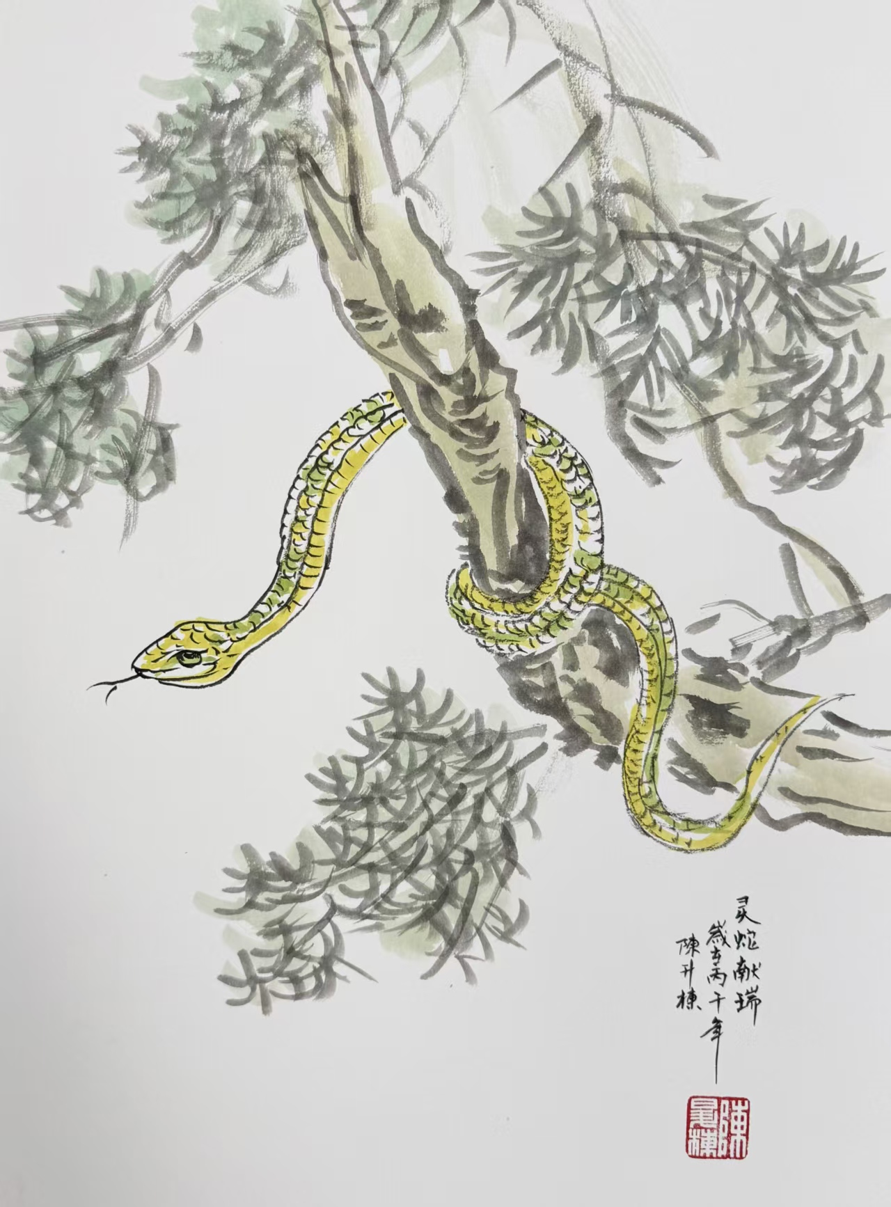 1781660816180049.jpg 微信图片_20260617093602_7263_478.jpg