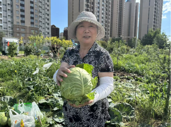 1781663969780840.png 微信图片_2026-06-17_103916_210.png