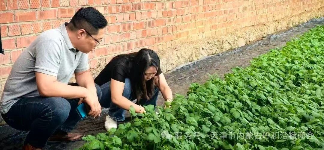 1784436582599687.jpg 微信图片_20260719124726_400_348.jpg