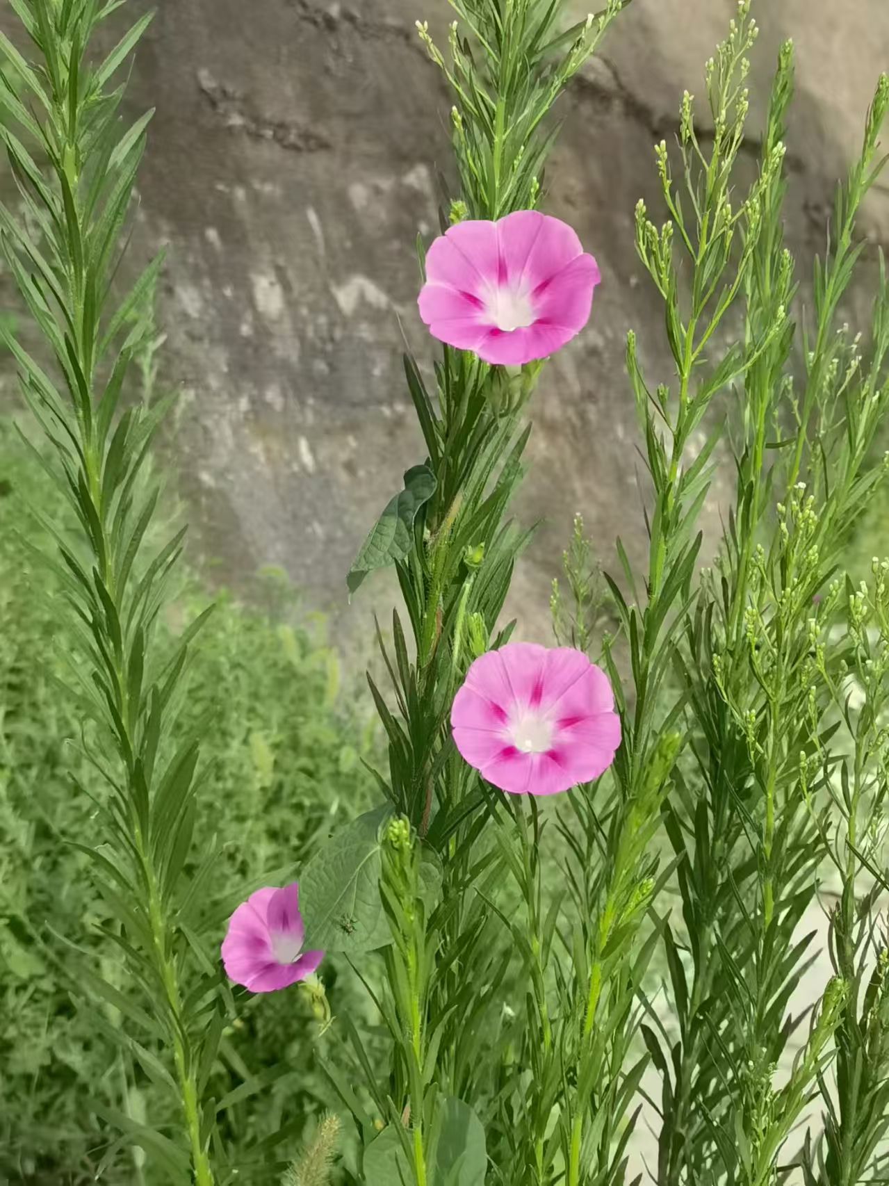 ΢��ͼƬ_20260827114854_769_52.jpg